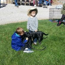 Mix Breed Pup - Adopted!! image 2