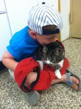 Miss Kitty White now Adopted! image 2